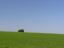 Fields of Summer